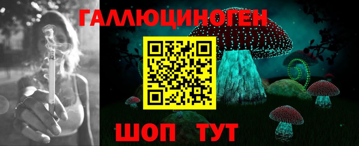 Печора  Псилоцибиновые грибы мицелий  Вход с VPN 